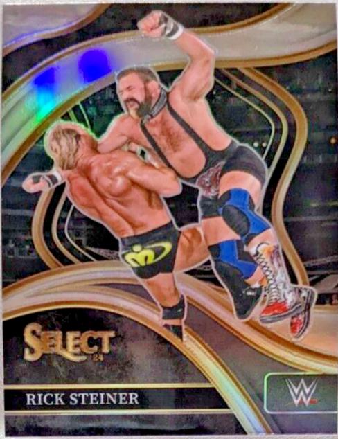 Rick Steiner [Silver Prizm] #211