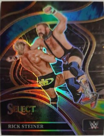 Rick Steiner [Tie-Dye Prizm] #211