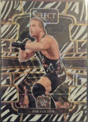 Rob Van Dam [Zebra Prizm] #5