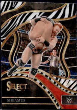 Sheamus [Zebra Prizm] #291