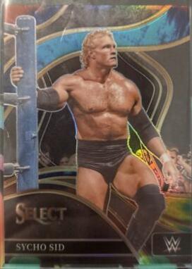 Sycho Sid [Tie-Dye Prizm] #233