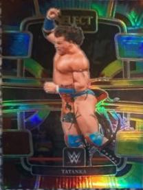 Tatanka [Tie-Dye Prizm] #55