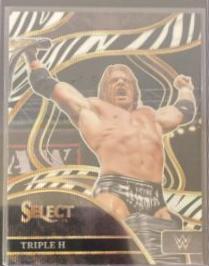 Triple H [Zebra Prizm] #205
