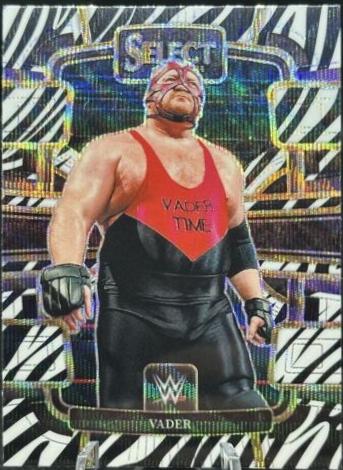 Vader [Zebra Prizm] #27