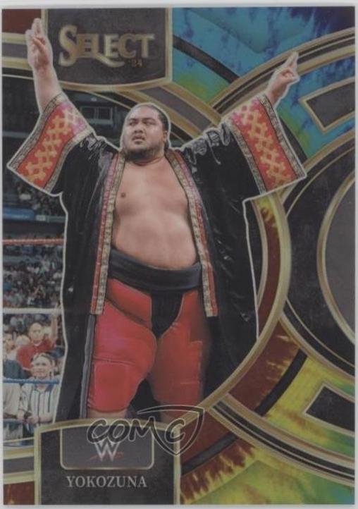 Yokozuna [Tie-Dye Prizm] #188