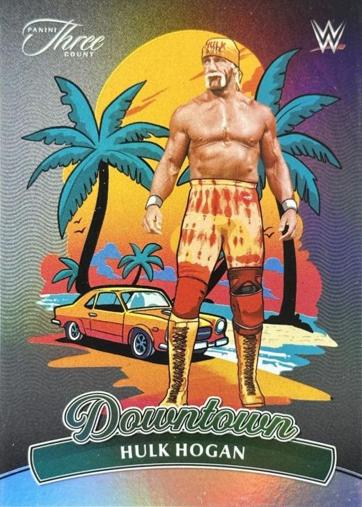 Hulk Hogan #19