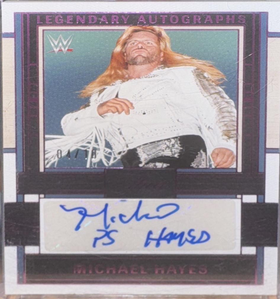 Michael Hayes [Pink FOTL] #LA-PSH