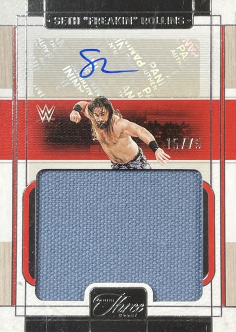 Seth Freakin Rollins #8