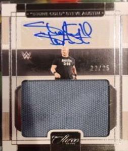 Stone Cold Steve Austin #5