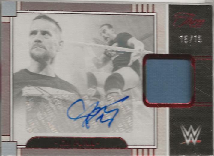 CM Punk [Red] #24