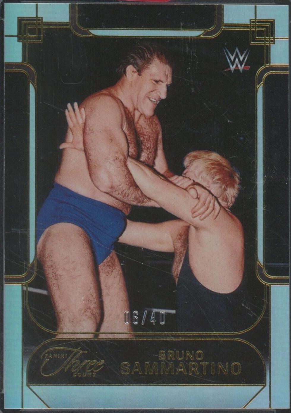 Bruno Sammartino #134