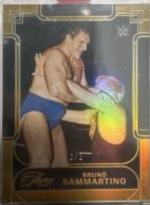 Bruno Sammartino [Holo Gold FOTL] #134