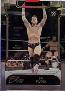 CM Punk #75
