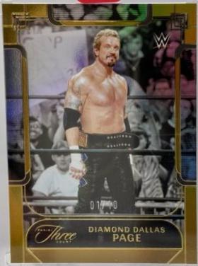 Diamond Dallas Page [Gold] #150