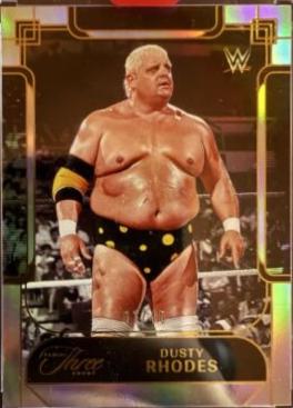 Dusty Rhodes #124