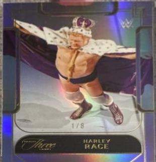 Harley Race [Purple] #148