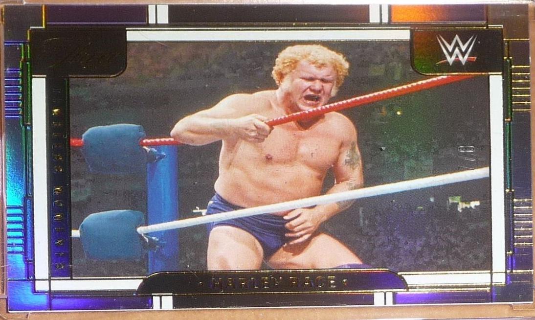 Harley Race [Purple] #155