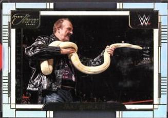 Jake Roberts #182