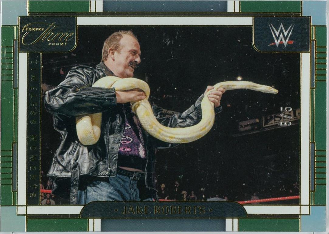 Jake Roberts [Green] #182