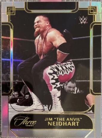 Jim The Anvil Neidhart #138
