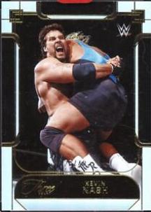 Kevin Nash #113