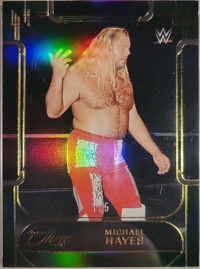 Michael Hayes [Green] #114