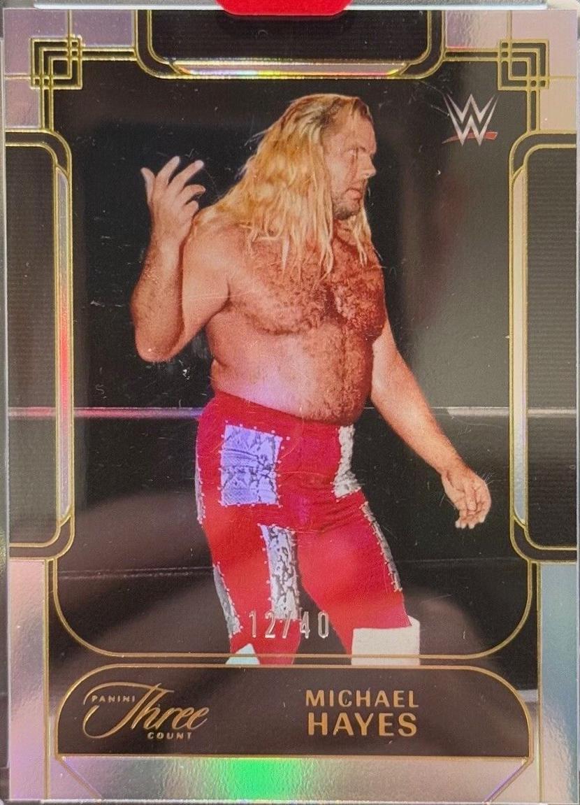 Michael Hayes [Holo Gold FOTL] #114