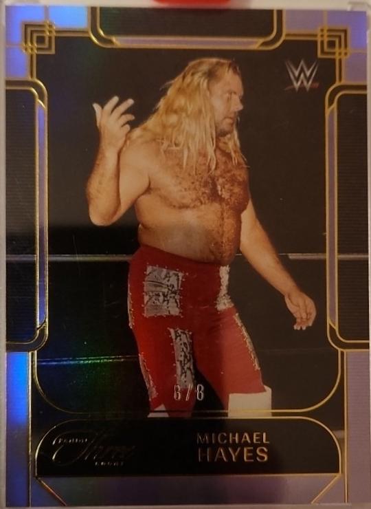 Michael Hayes [Purple] #114