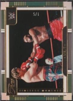 Mr. T [Green] #165