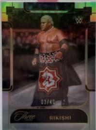 Rikishi #111