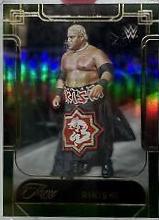 Rikishi [Green] #111