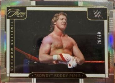 Rowdy Roddy Piper #197