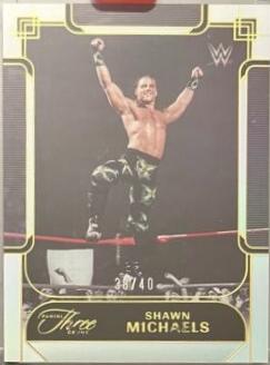 Shawn Michaels #143