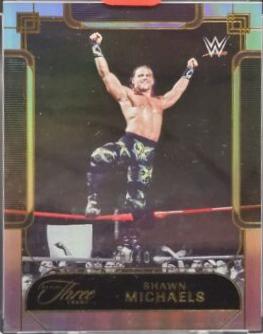 Shawn Michaels [Holo Gold FOTL] #143