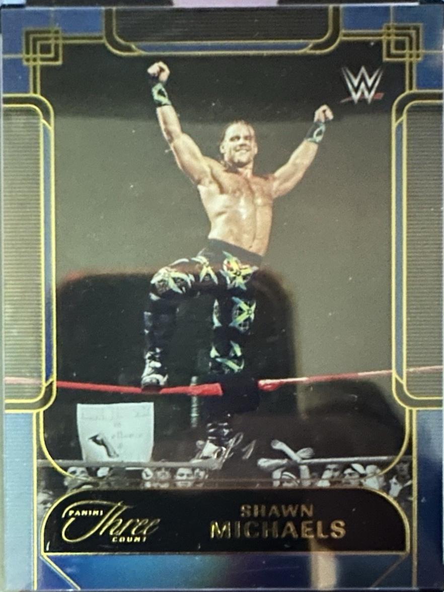 Shawn Michaels [Platinum] #143