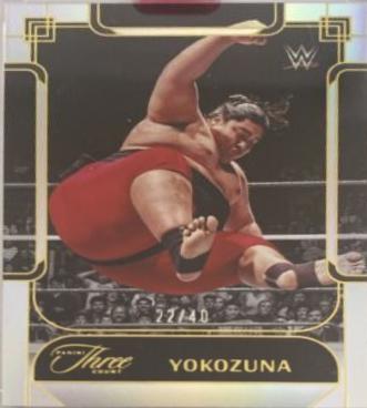 Yokozuna #119