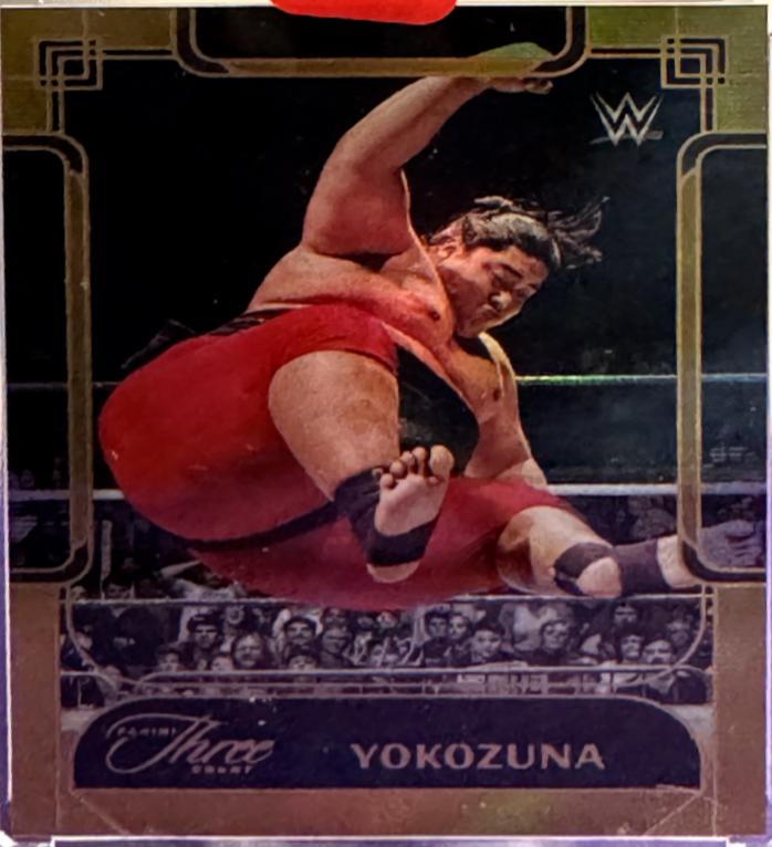 Yokozuna [Holo Gold FOTL] #119