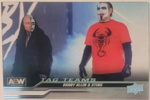 Darby Allin / Sting [Clear Cut] #89
