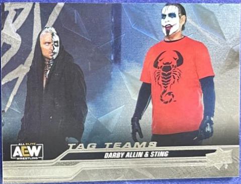 Darby Allin / Sting [Diamond Plate] #89