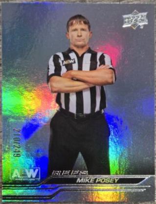 Mike Posey [Steel Cage] #94