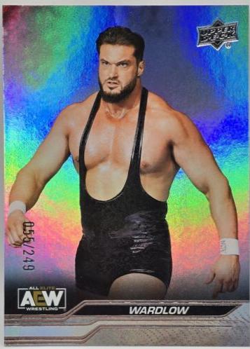Wardlow [Steel Cage] #64