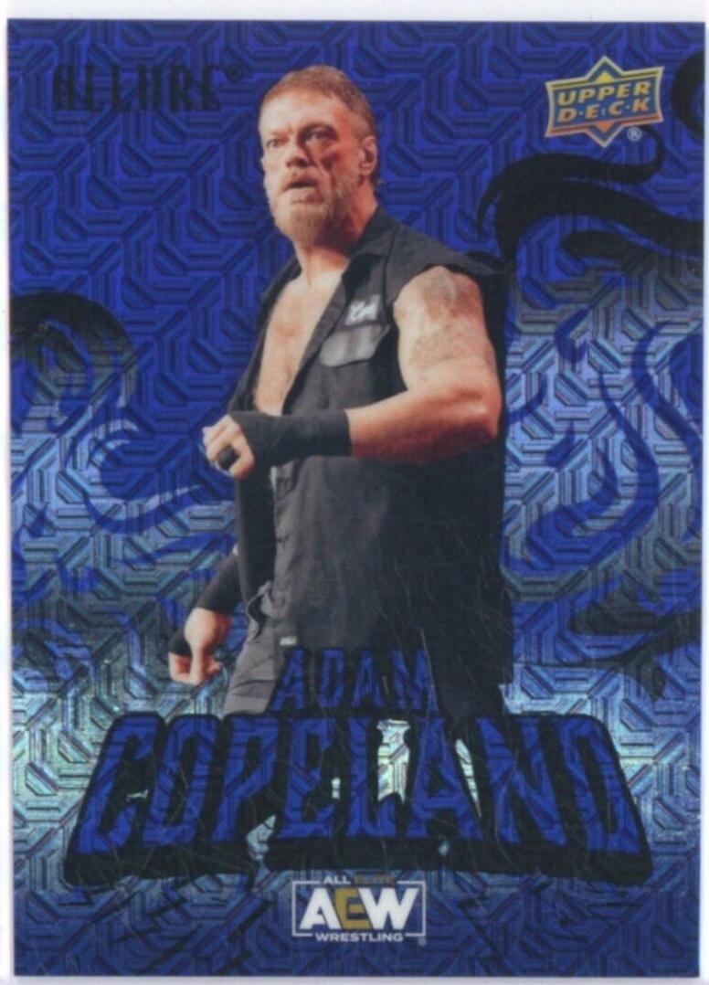 Adam Copeland [Black Blue] #2