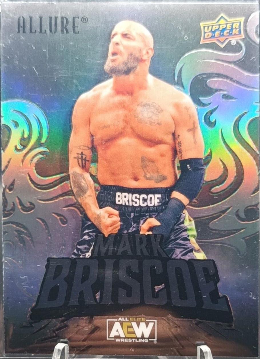 Mark Briscoe [Black Rainbow] #53