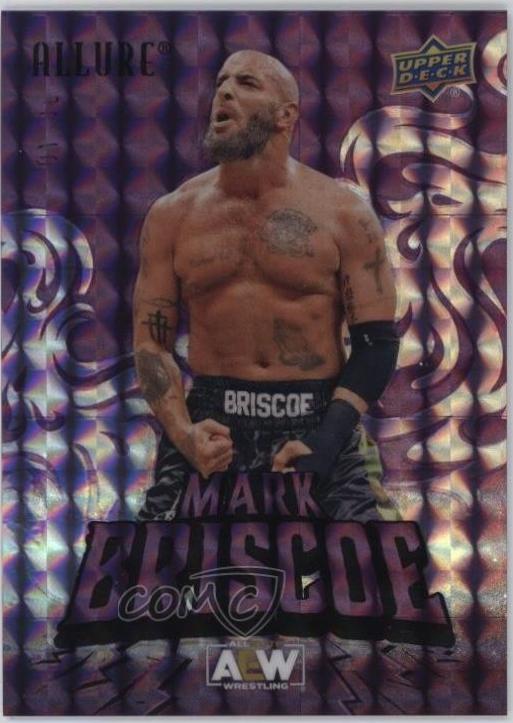 Mark Briscoe [Purple Diamond] #53