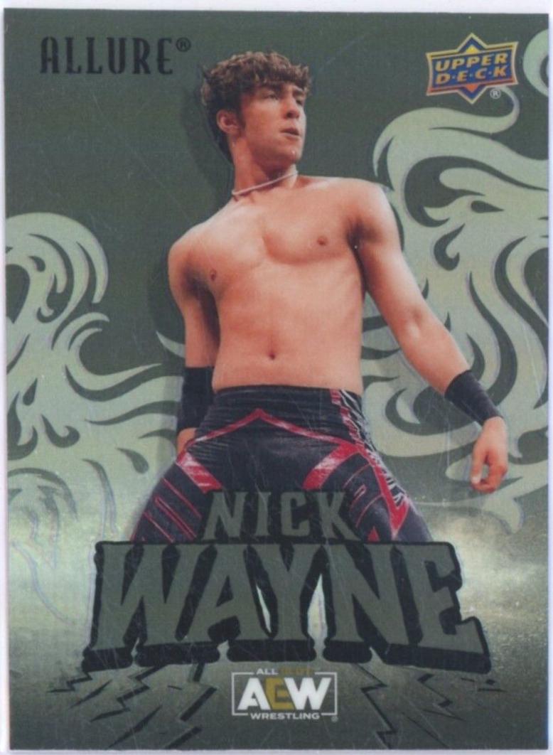 Nick Wayne [Black Rainbow] #33