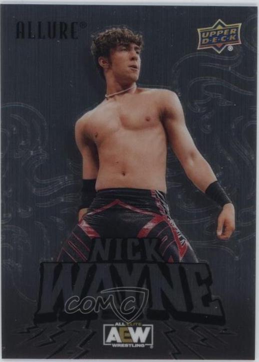 Nick Wayne [Steel Chair] #33