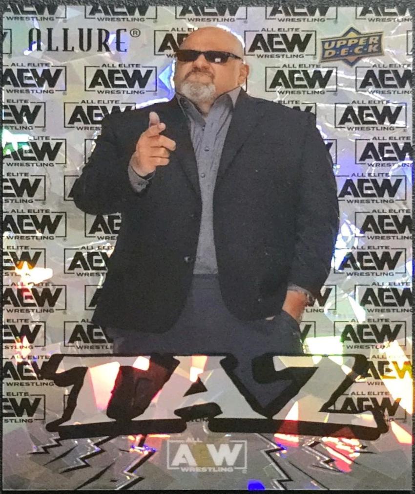 Taz [AEW Logo SP] #113