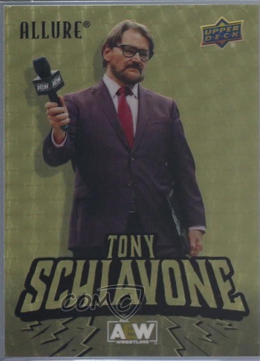 Tony Schiavone [Golden Treasures SP] #114