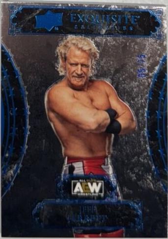 Jeff Jarrett [Blue] #44