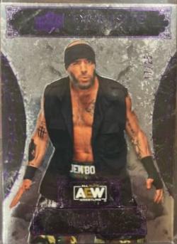 Mark Briscoe [Purple] #35